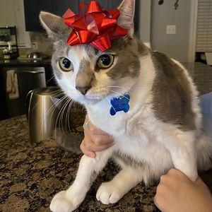 Meet your Posher, Wanjiun